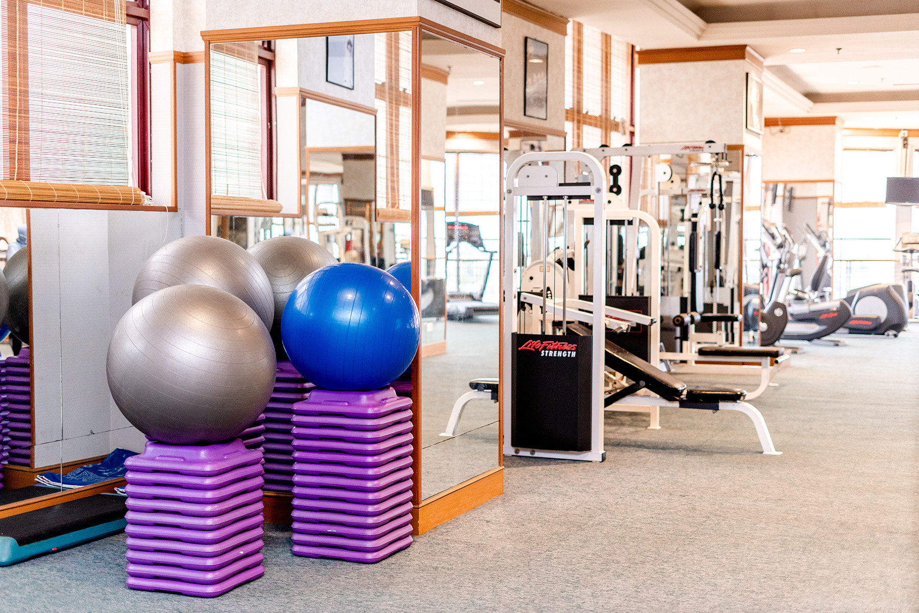 Fitness Centre Membership